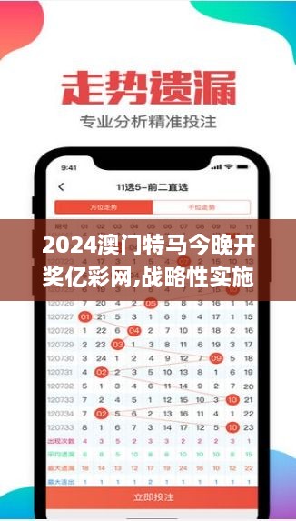 2024澳门特马今晚开奖亿彩网,战略性实施方案优化_10DM12.472