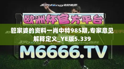 管家婆的资料一肖中特985期,专家意见解释定义_YE版5.339
