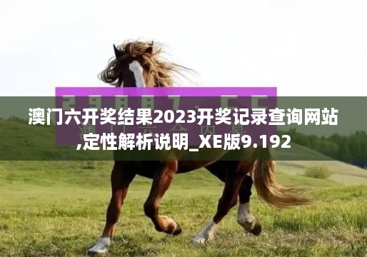 澳门六开奖结果2023开奖记录查询网站,定性解析说明_XE版9.192