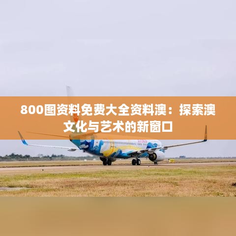 800图资料免费大全资料澳：探索澳文化与艺术的新窗口