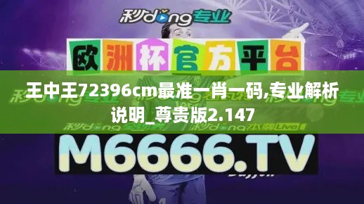 王中王72396cm最准一肖一码,专业解析说明_尊贵版2.147