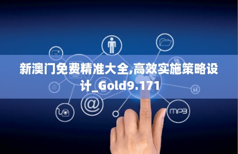 新澳门免费精准大全,高效实施策略设计_Gold9.171
