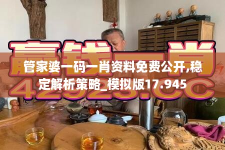 管家婆一码一肖资料免费公开,稳定解析策略_模拟版17.945