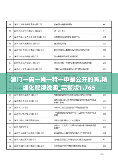 澳门一码一肖一特一中是公开的吗,精细化解读说明_完整版1.765