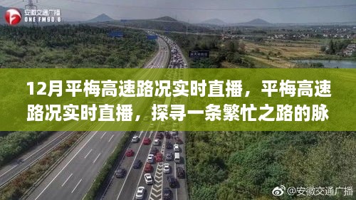 探寻繁忙之路，平梅高速实时路况直播与影响分析