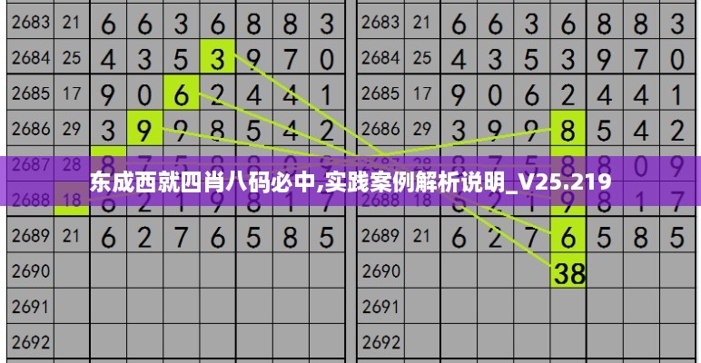东成西就四肖八码必中,实践案例解析说明_V25.219