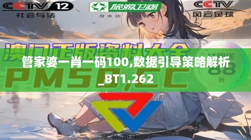 管家婆一肖一码100,数据引导策略解析_BT1.262