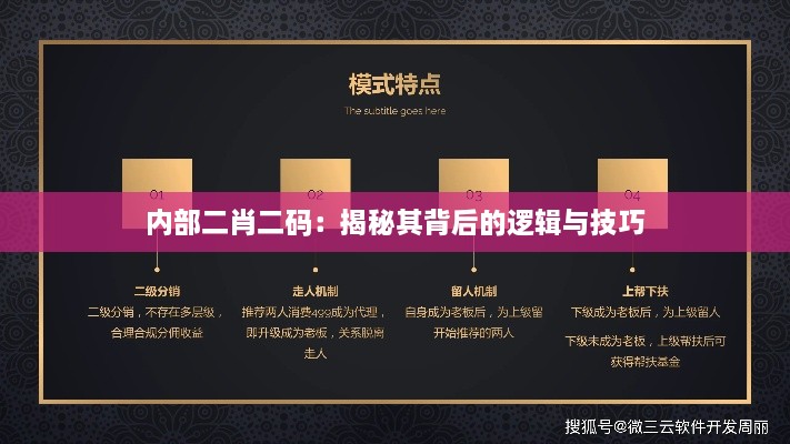 内部二肖二码：揭秘其背后的逻辑与技巧
