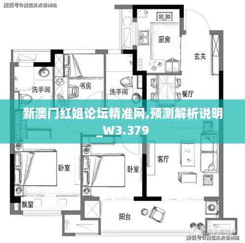 新澳门红姐论坛精准网,预测解析说明_W3.379