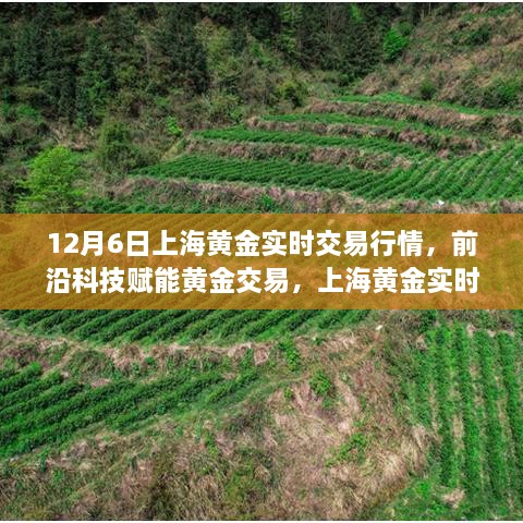 上海黄金实时交易行情，前沿科技赋能，交易系统全新升级（12月6日）