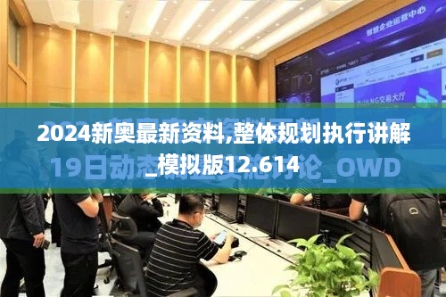 2024新奥最新资料,整体规划执行讲解_模拟版12.614