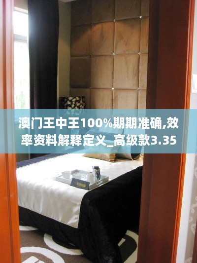 澳门王中王100%期期准确,效率资料解释定义_高级款3.356