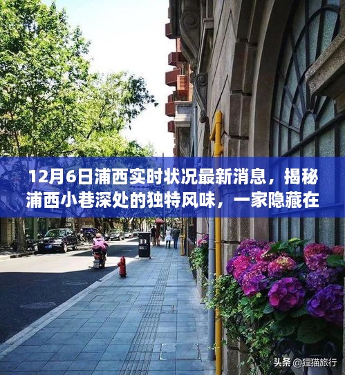 独家揭秘，浦西小巷深处的特色小店最新实况报道
