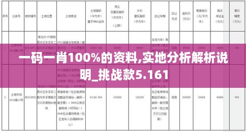 一码一肖100%的资料,实地分析解析说明_挑战款5.161