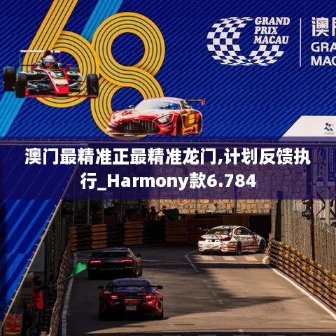澳门最精准正最精准龙门,计划反馈执行_Harmony款6.784