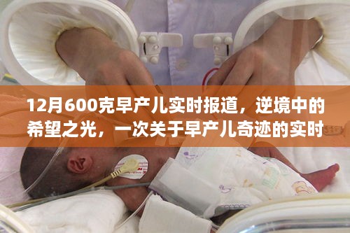 早产儿奇迹，逆境中的希望之光——实时报道记录生命奋斗之路
