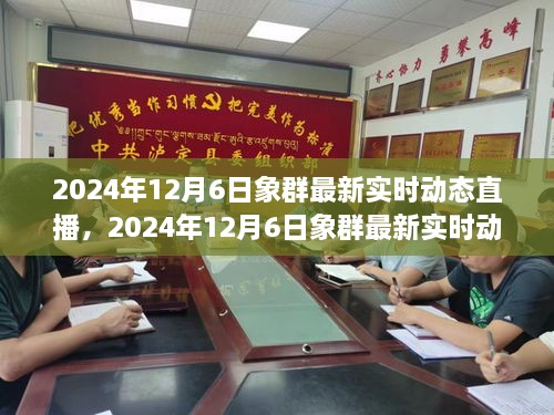 揭秘迁徙轨迹与生态和谐之旅，象群最新实时动态直播报道（附直播时间）