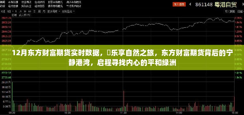 东方财富期货实时数据解析，宁静港湾中的自然之旅与心灵绿洲的启程