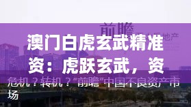 澳门白虎玄武精准资：虎跃玄武，资产管理的澳门智慧