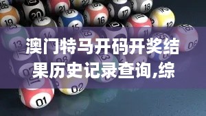 澳门特马开码开奖结果历史记录查询,综合分析解释定义_挑战款18.156