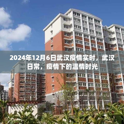 武汉疫情下的温情日常时光，实时关注与日常记录（2024年12月6日）