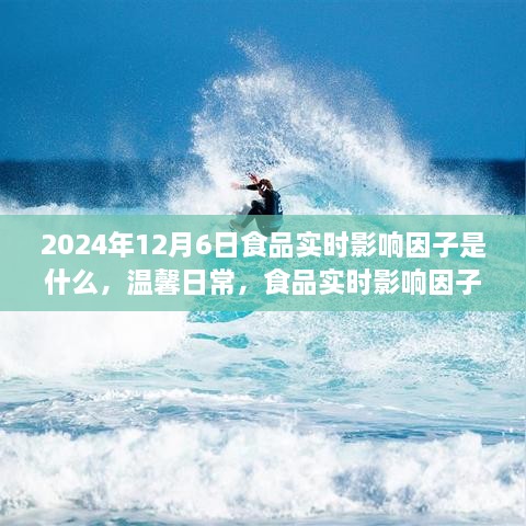 食品实时影响因子揭秘，温馨日常的奇妙之旅（2024年12月6日）
