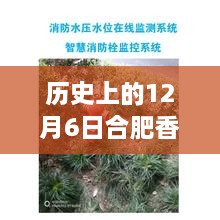 zhanghuangshicuo 第3页