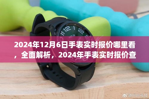 用户需求视角下的深度评测，2024年手表实时报价查询指南及全面解析