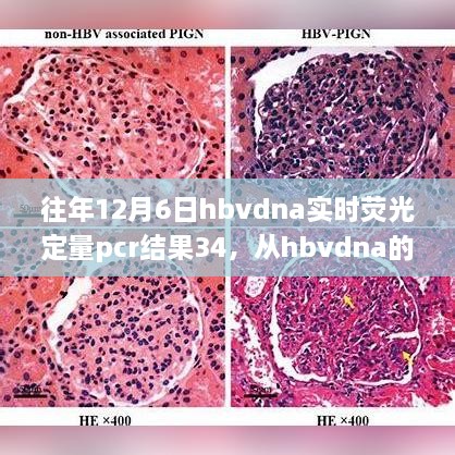 yibuwancai 第2页