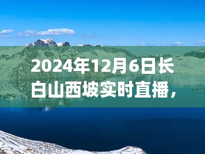 扬眉吐气 第2页