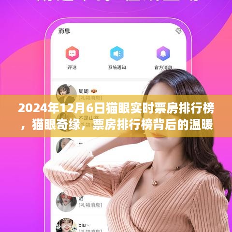 猫眼奇缘，实时票房排行榜背后的温暖故事（2024年12月6日）