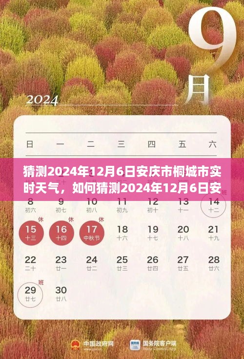产品展示 第104页