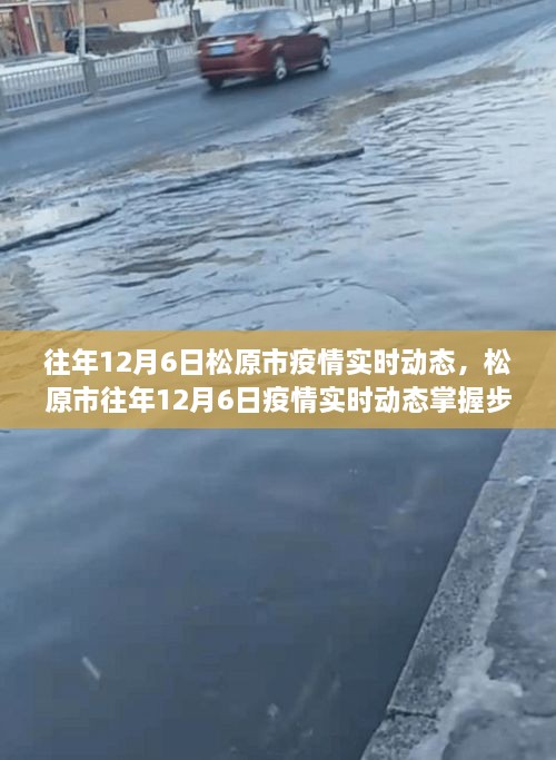 松原市往年12月6日疫情实时动态掌握指南及最新动态更新
