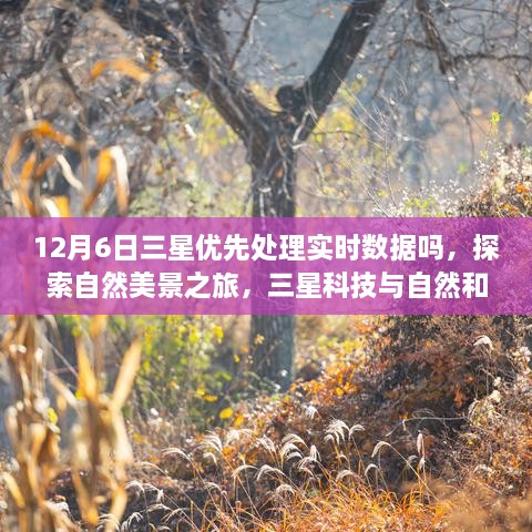 三星科技之旅，实时数据优先处理，启程探索自然美景与内心平和之地——12月6日启程体验三星科技与自然和谐共舞