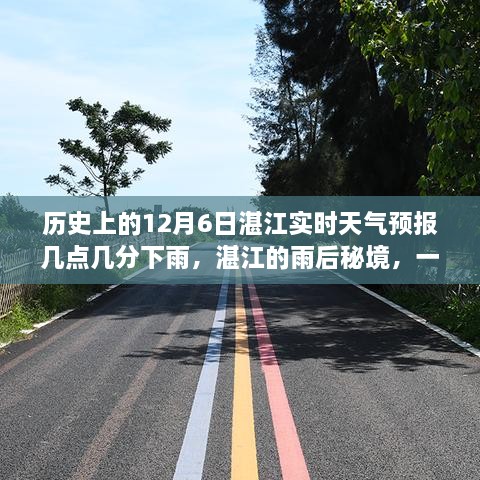 湛江雨后秘境探寻之旅，实时天气预报与美景探寻的完美结合（日期标注）