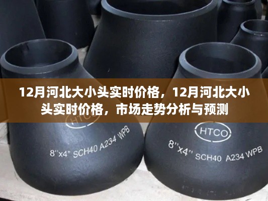 河北大小头实时价格追踪，市场走势分析与预测