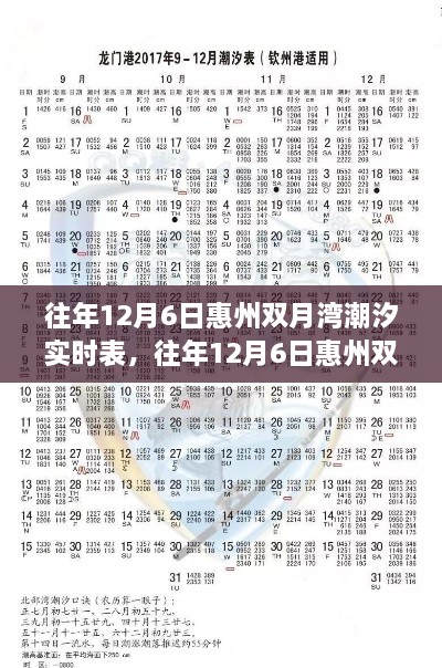 往年12月6日惠州双月湾潮汐实时表，全面介绍与深度评测当日潮汐情况