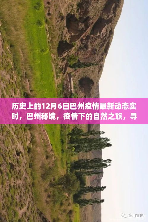 巴州秘境，疫情下的自然之旅与内心力量的寻找——实时疫情动态更新标题