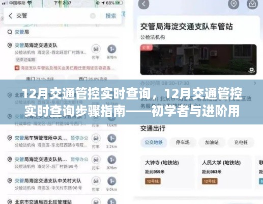 12月交通管控实时查询完全指南，适用于初学者与进阶用户
