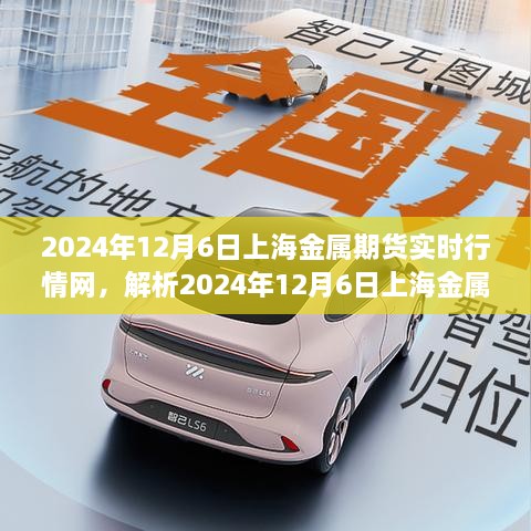 鱼龙混杂 第2页