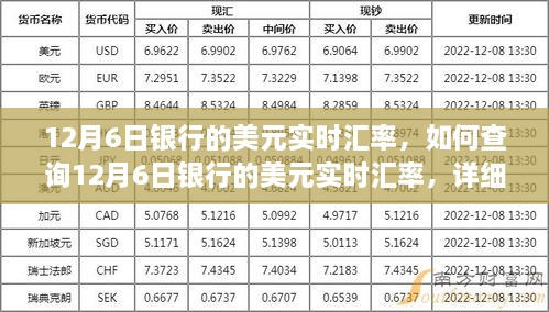 12月6日银行美元实时汇率查询指南，详细步骤与操作教程