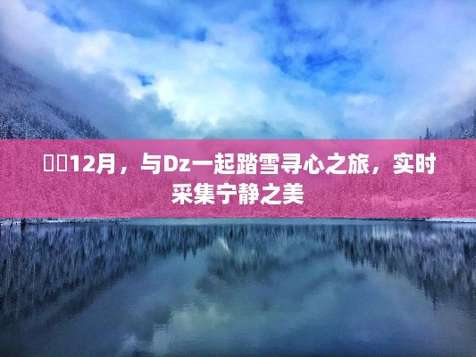 狐疑不决 第2页
