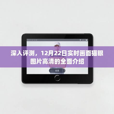 实时高清画面评测，深度解析猫眼图片在12月22日的全面介绍