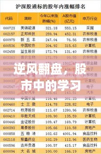 揭秘日本股市实时行情走势背后的故事，逆风翻盘与成长之路的启示