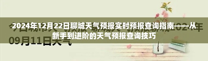 从新手到进阶，聊城天气预报查询指南，掌握实时预报技巧