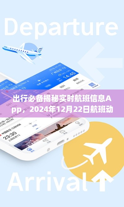 揭秘实时航班信息App，航班动态详解，出行必备工具（2024年12月22日）