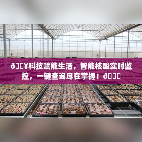科技赋能生活