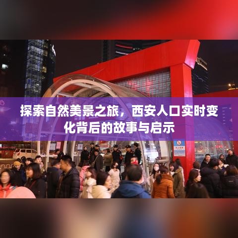 碧波荡漾 第2页