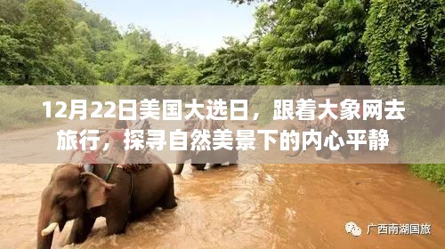 美国大选日探寻自然美景下的内心平静之旅，大象网带您启程
