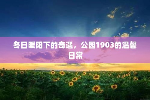 温馨日常